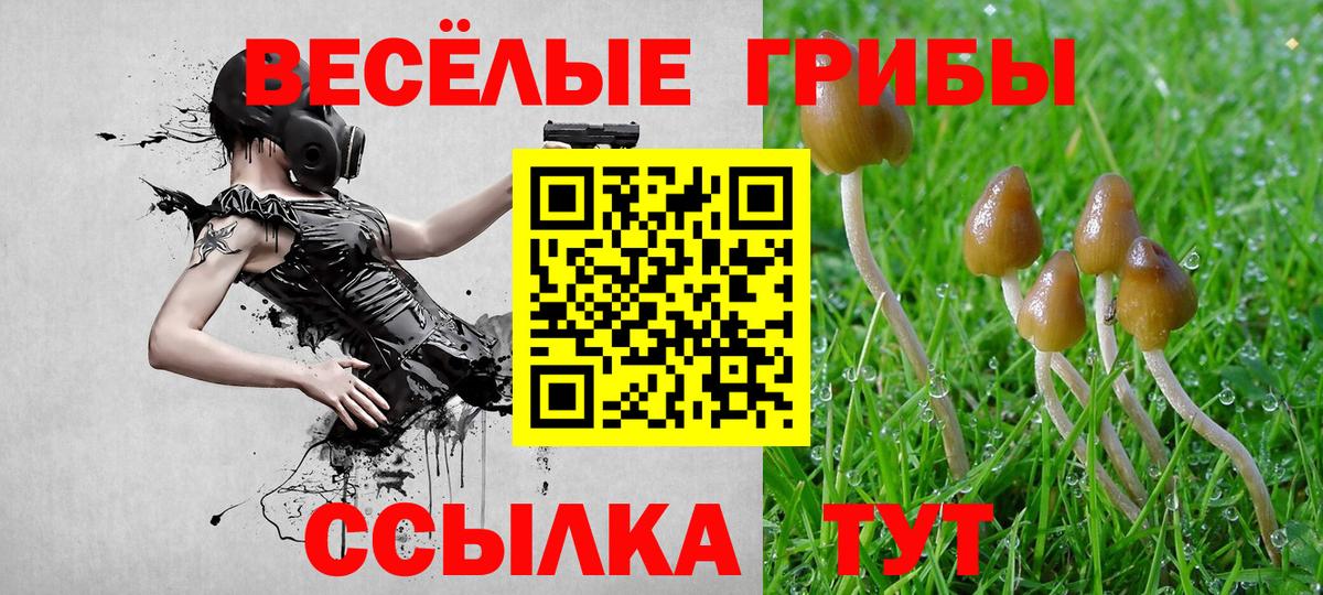 Галлюциногенные грибы MAGIC MUSHROOMS Бугульма